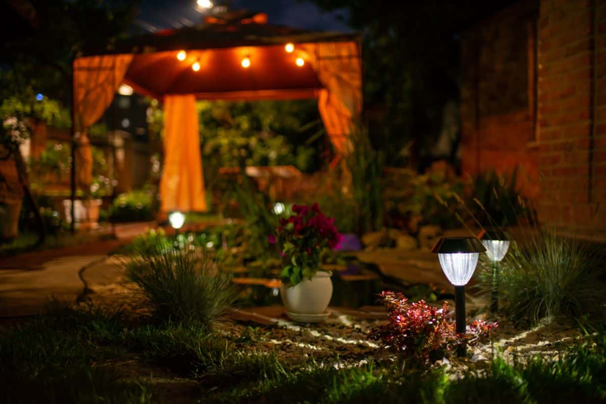 A garden area lined with solar lights