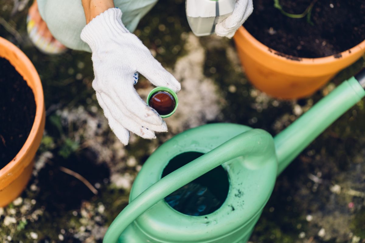 A woman measures fertilizer into her plant watering can