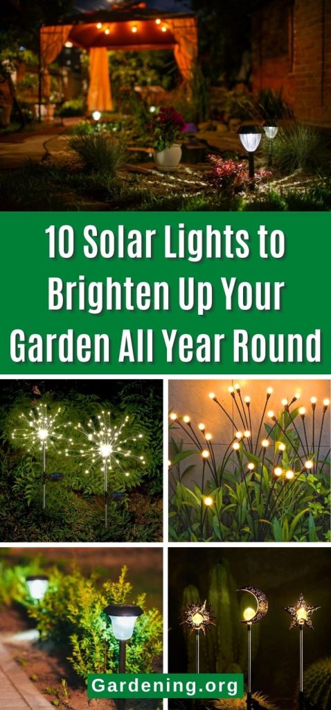 10 Solar Lights to Brighten Up Your Garden All Year Round pinterest image.