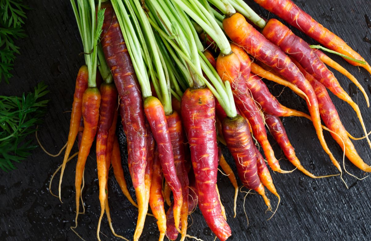 Colored carrots are one fun and interesting type to grow