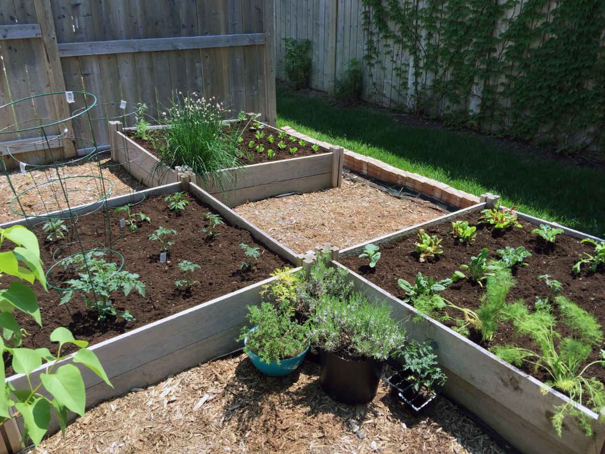 Raised beds are installed as a clay soil solution