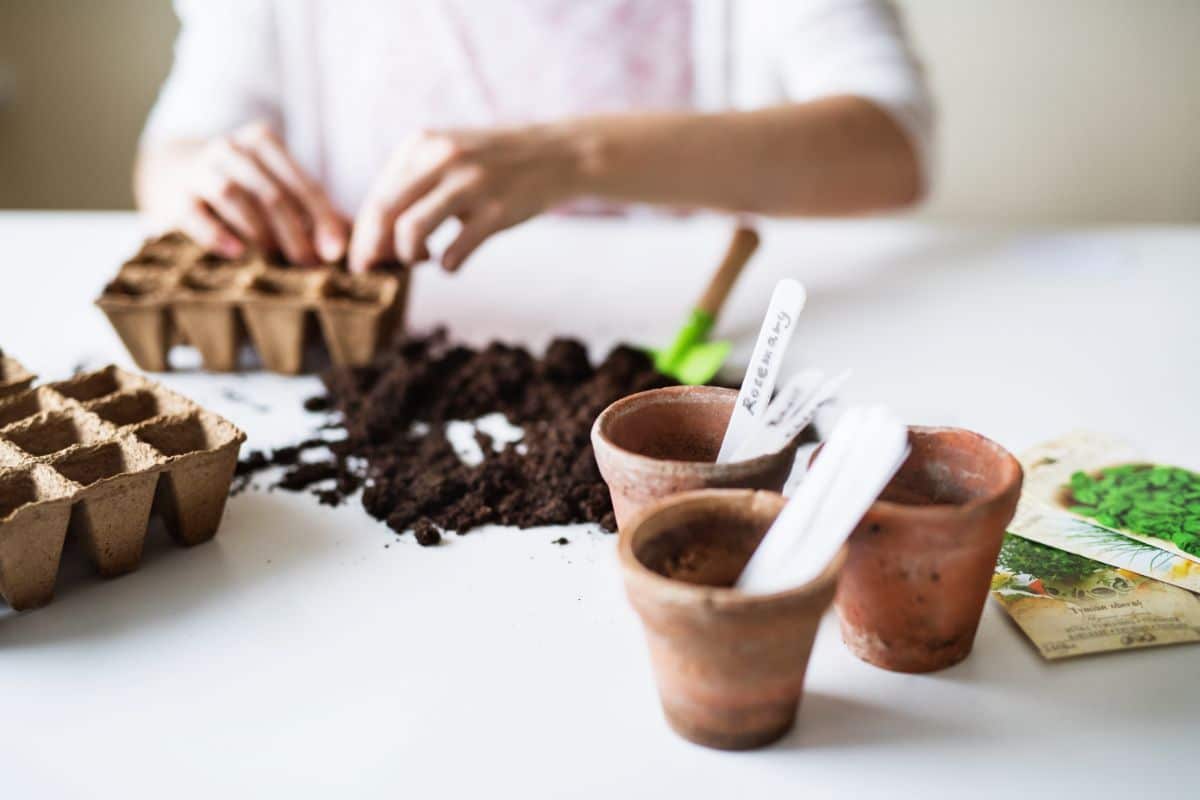 A woman planting seeds at the recommended planting depth to prevent damping off