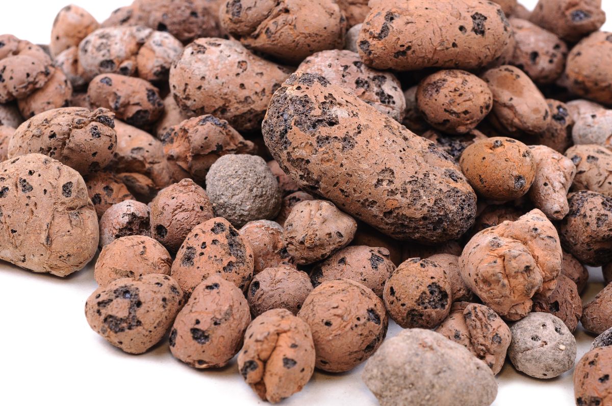 A close up on a pile of LECA clay pebbles