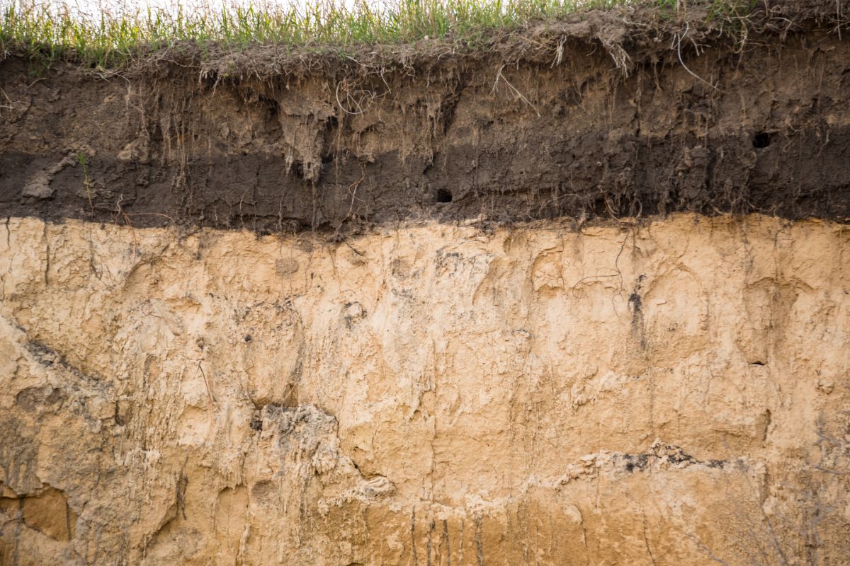 A cross section of ground shows topsoil above clay soil