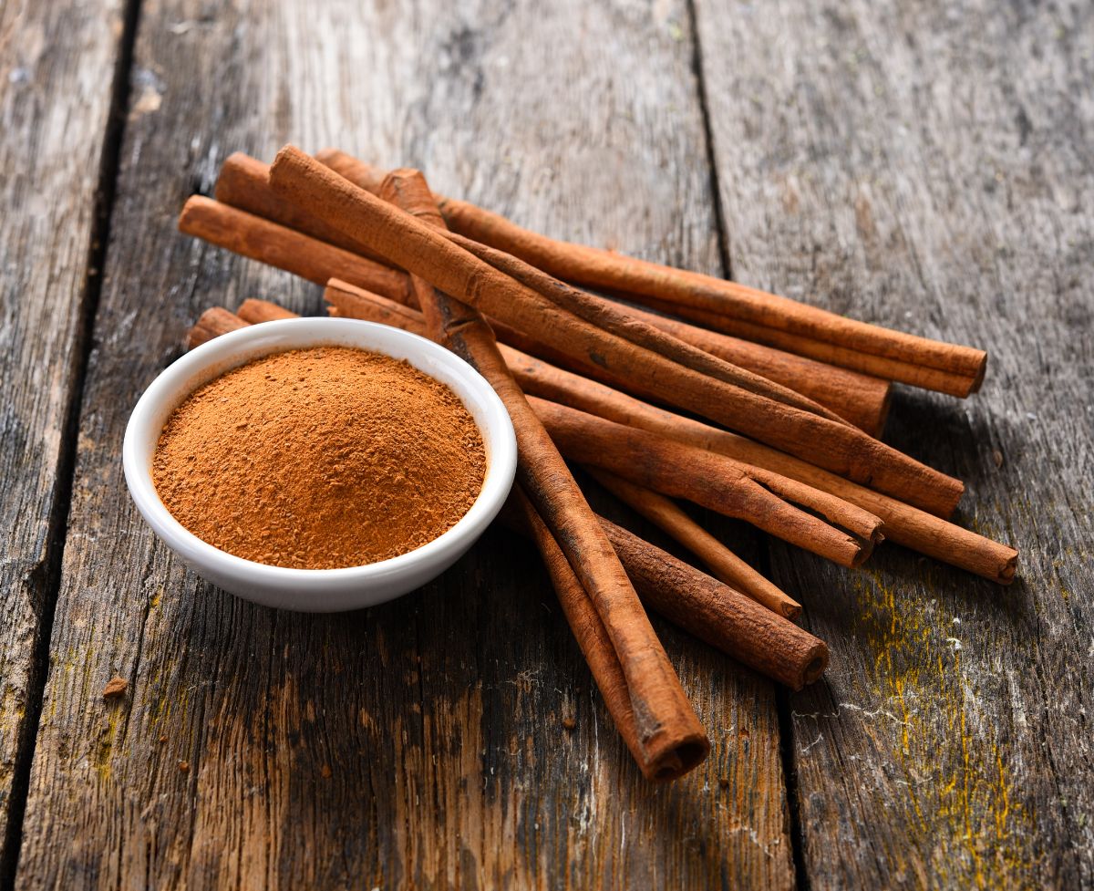 Cinnamon is antifungal and can be used to fight damping off disease
