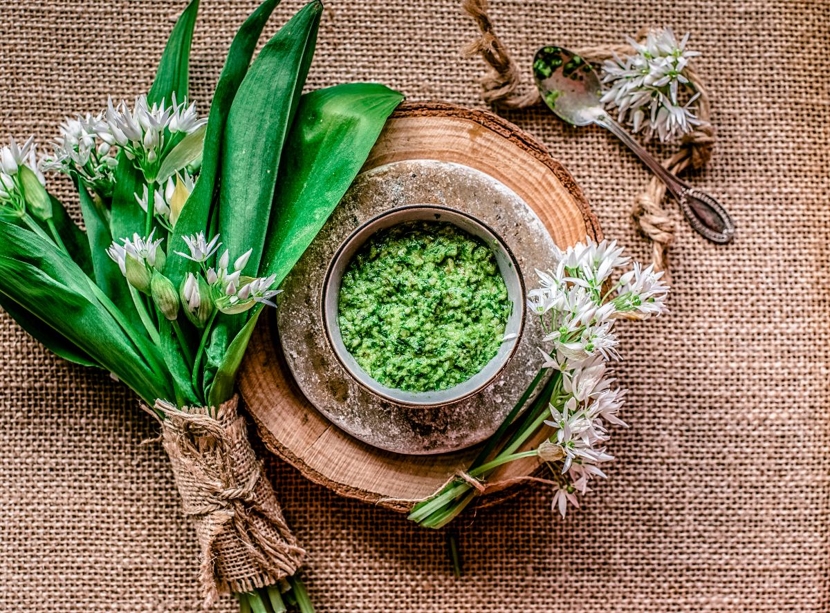 Wild foraged wild garlic leaves and flowers