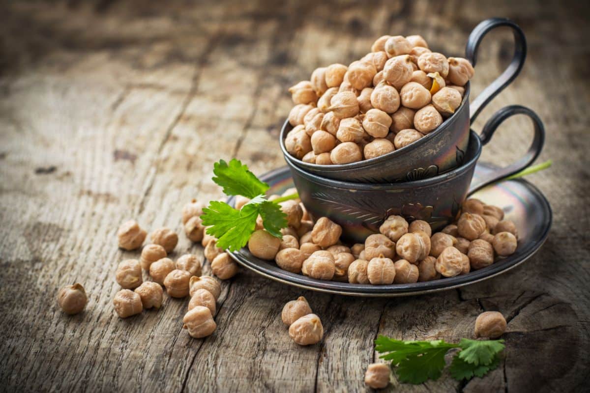 A cup of dried Garbanzo beans