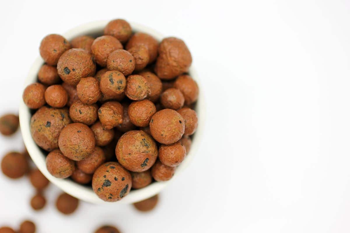 A cup holding LECA clay pebbles for plant growing