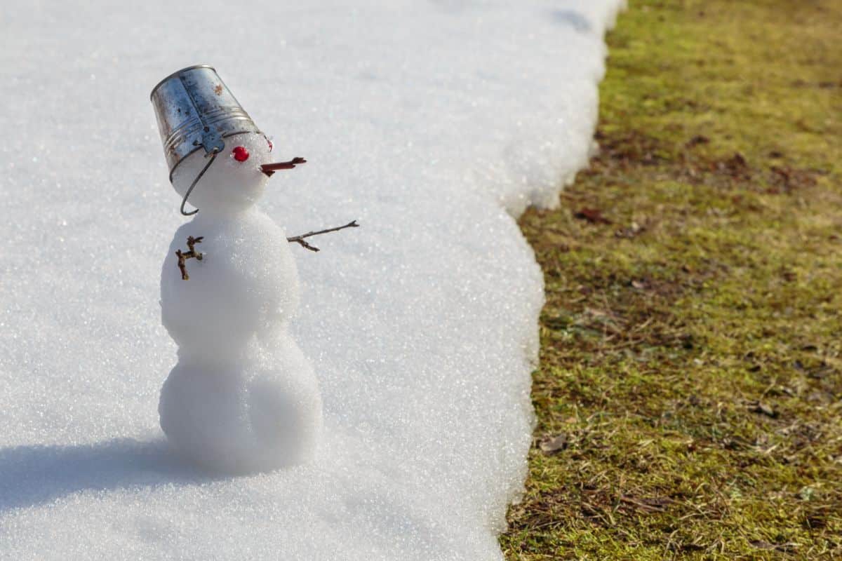 Snow melting into the ground delivering water and nutrients.