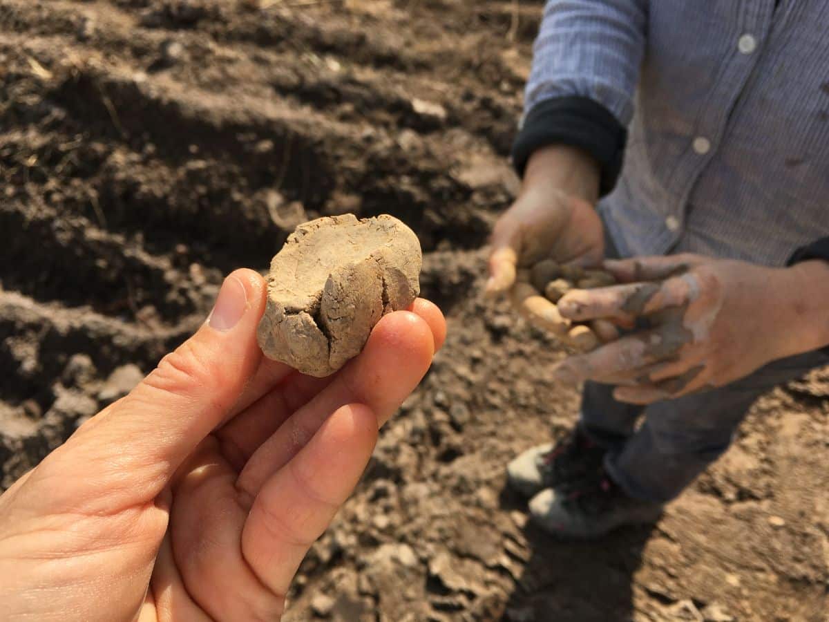 A ball of clay holds together when pressed