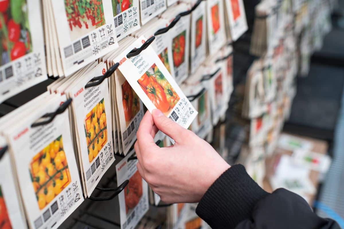 A person picks a seed packet from a large display of seeds.