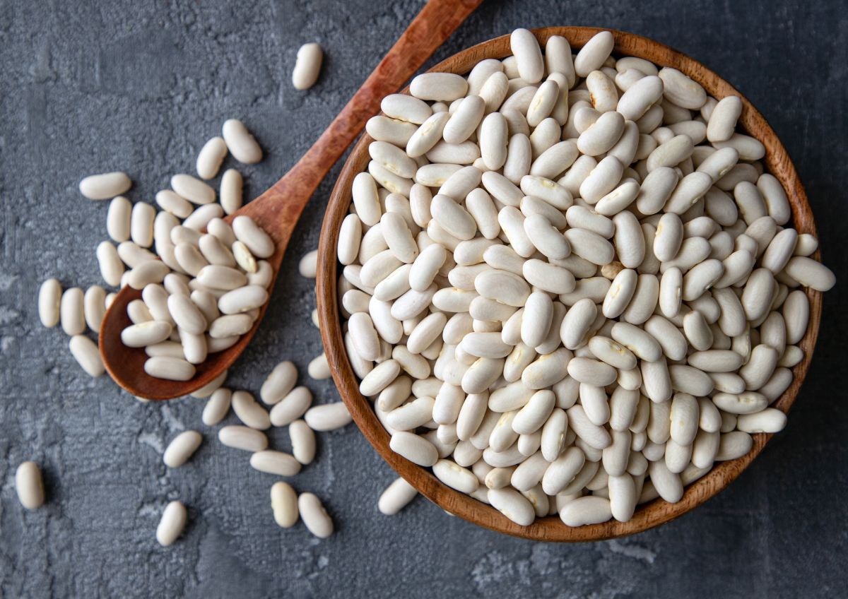 Creamy white dried Cannellini beans
