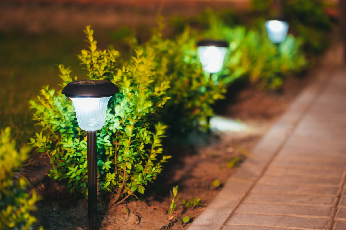 A garden path lined with solar lights