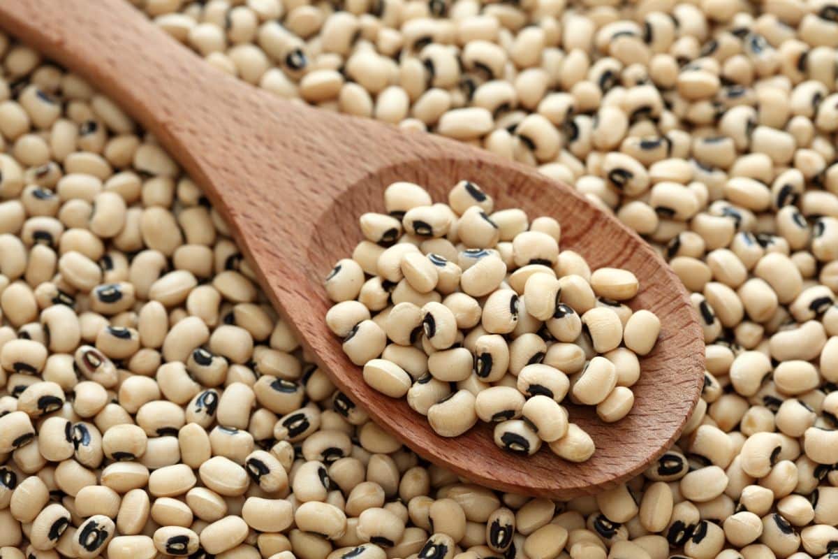 A wooden spoon filled with dried black eyed peas