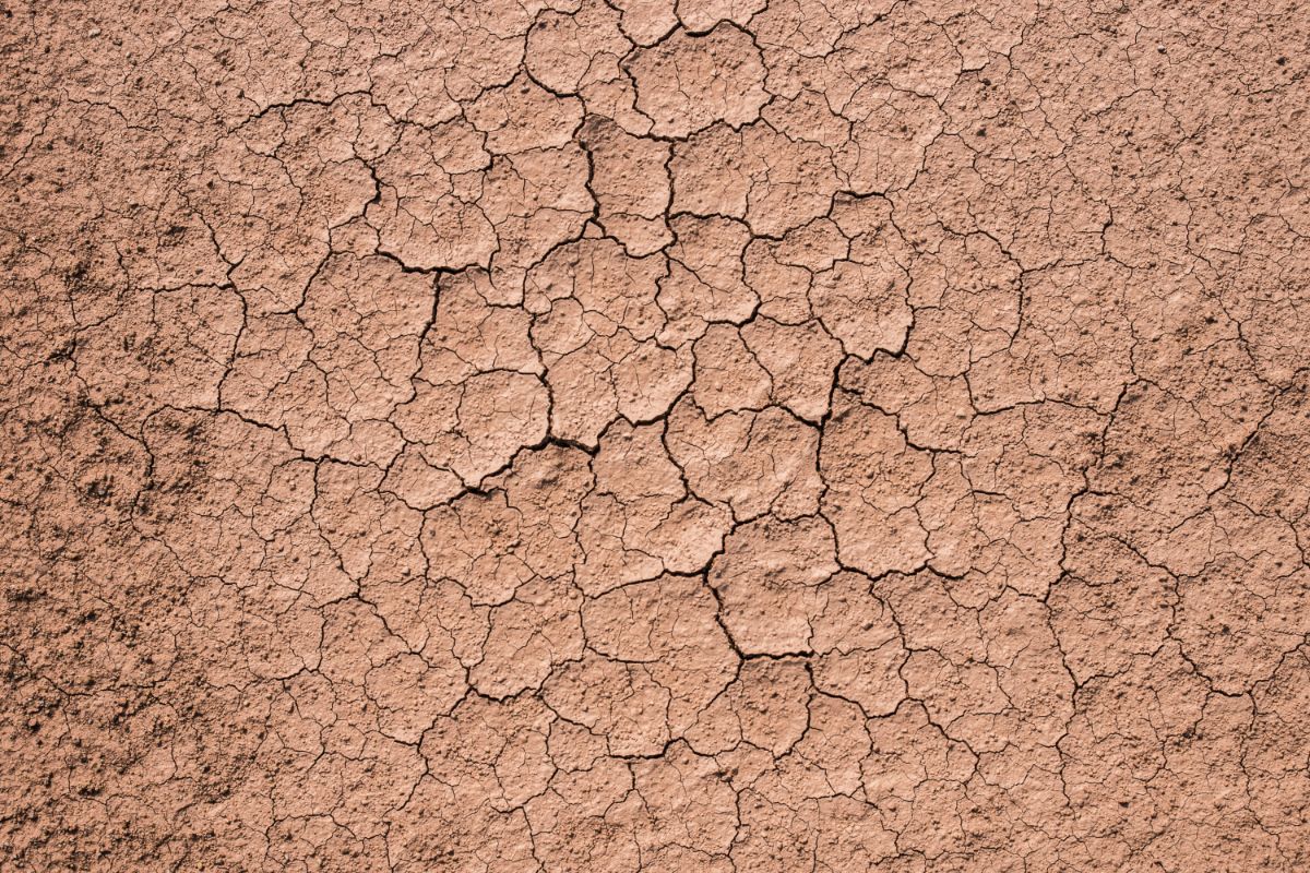 Dried out clay soil showing cracks