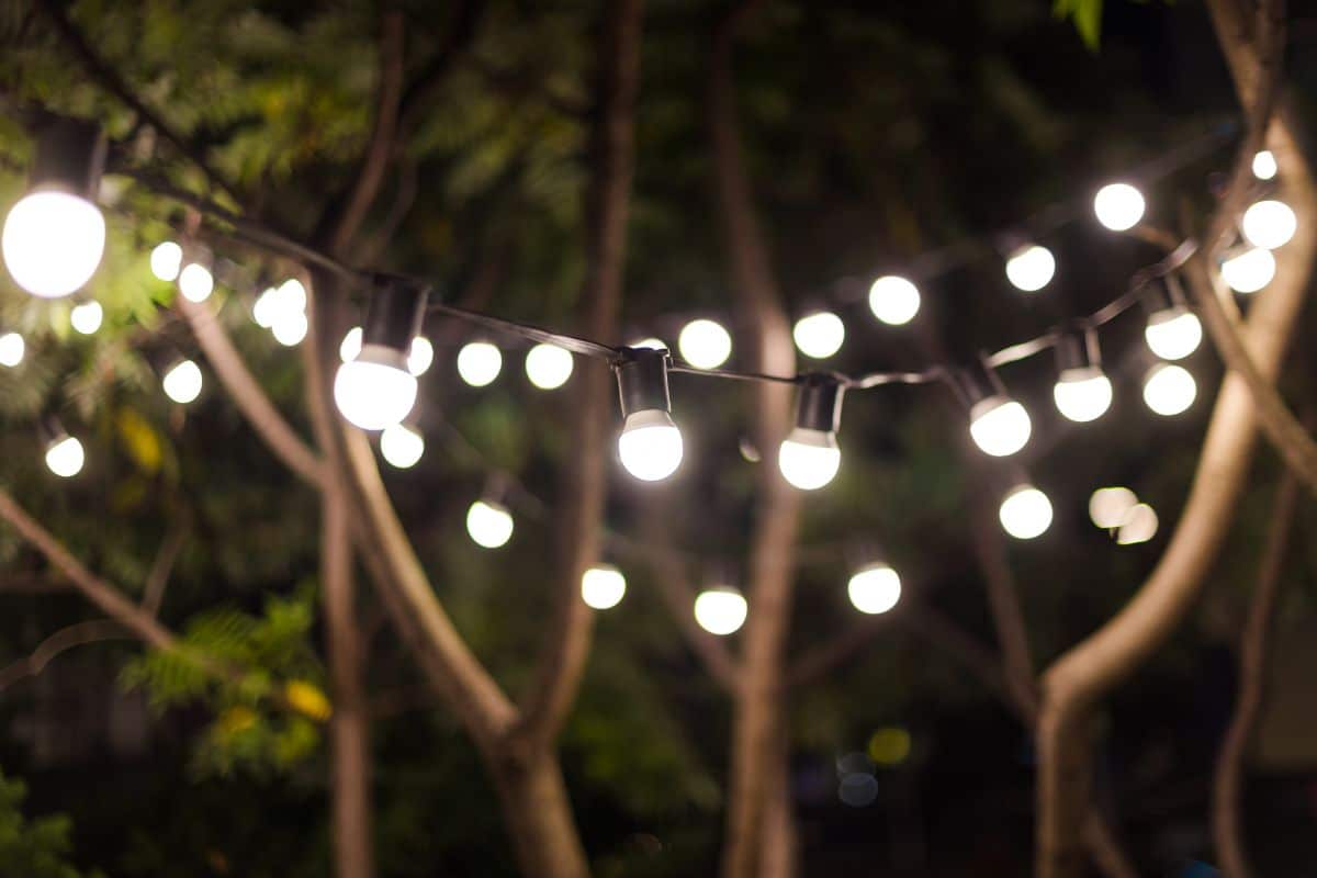 Solar string lights hang in trees in a garden