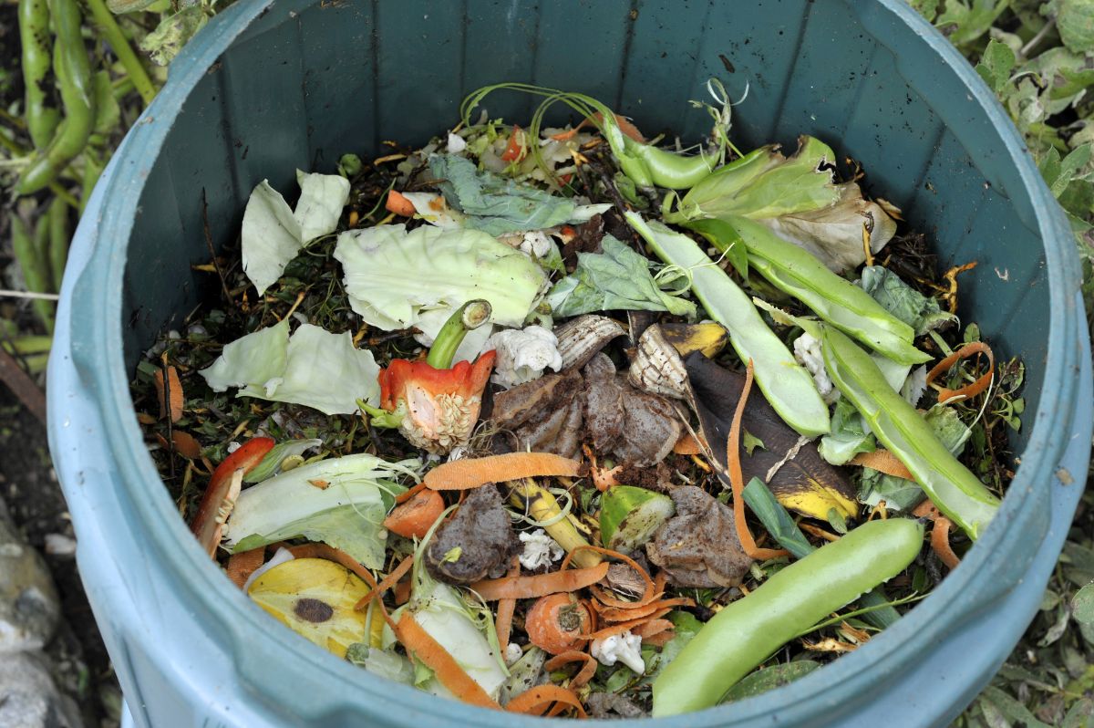 Vegetable scraps sit on top of a compost pile