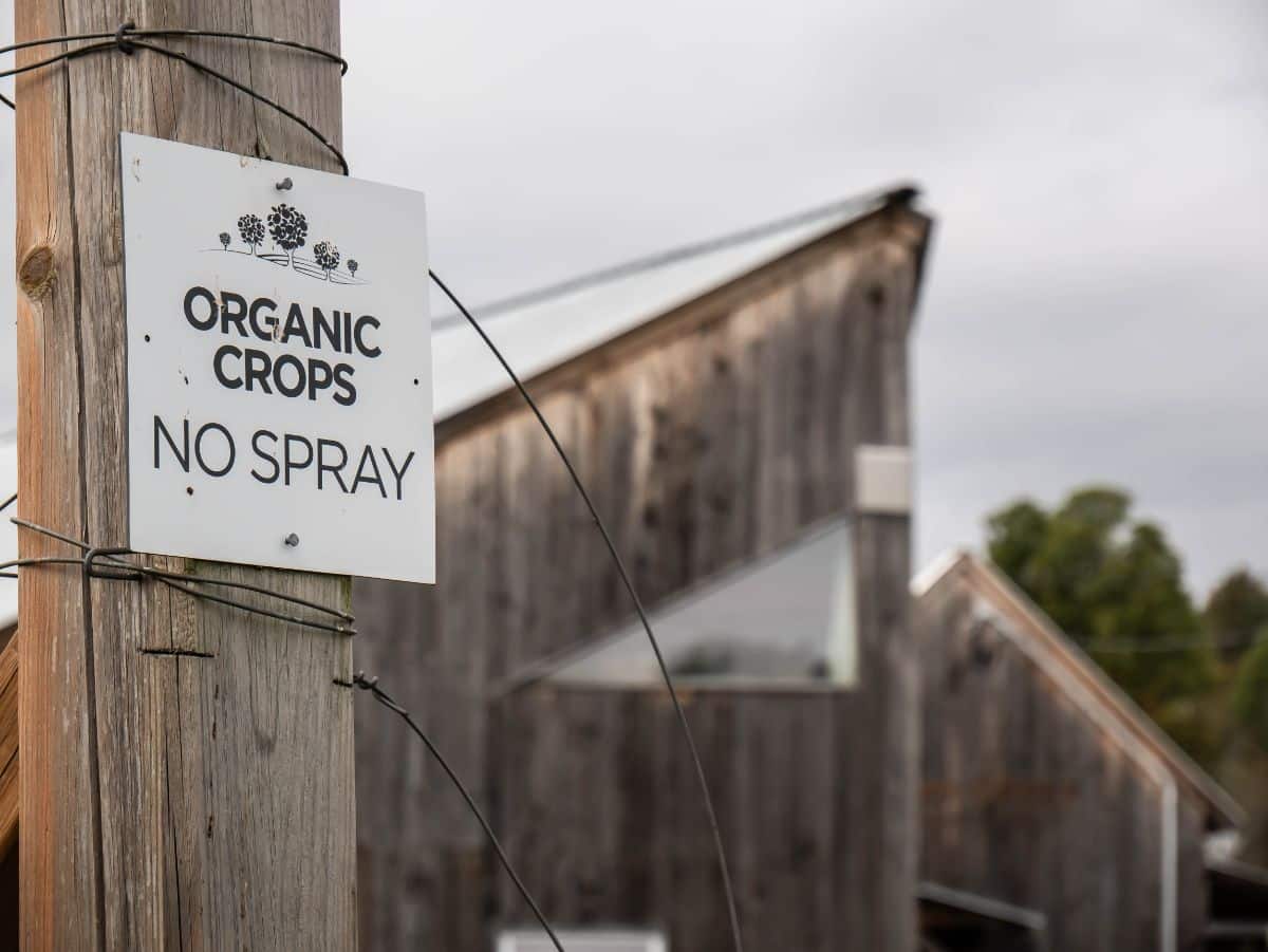 A sign reads “Organic No Spray”