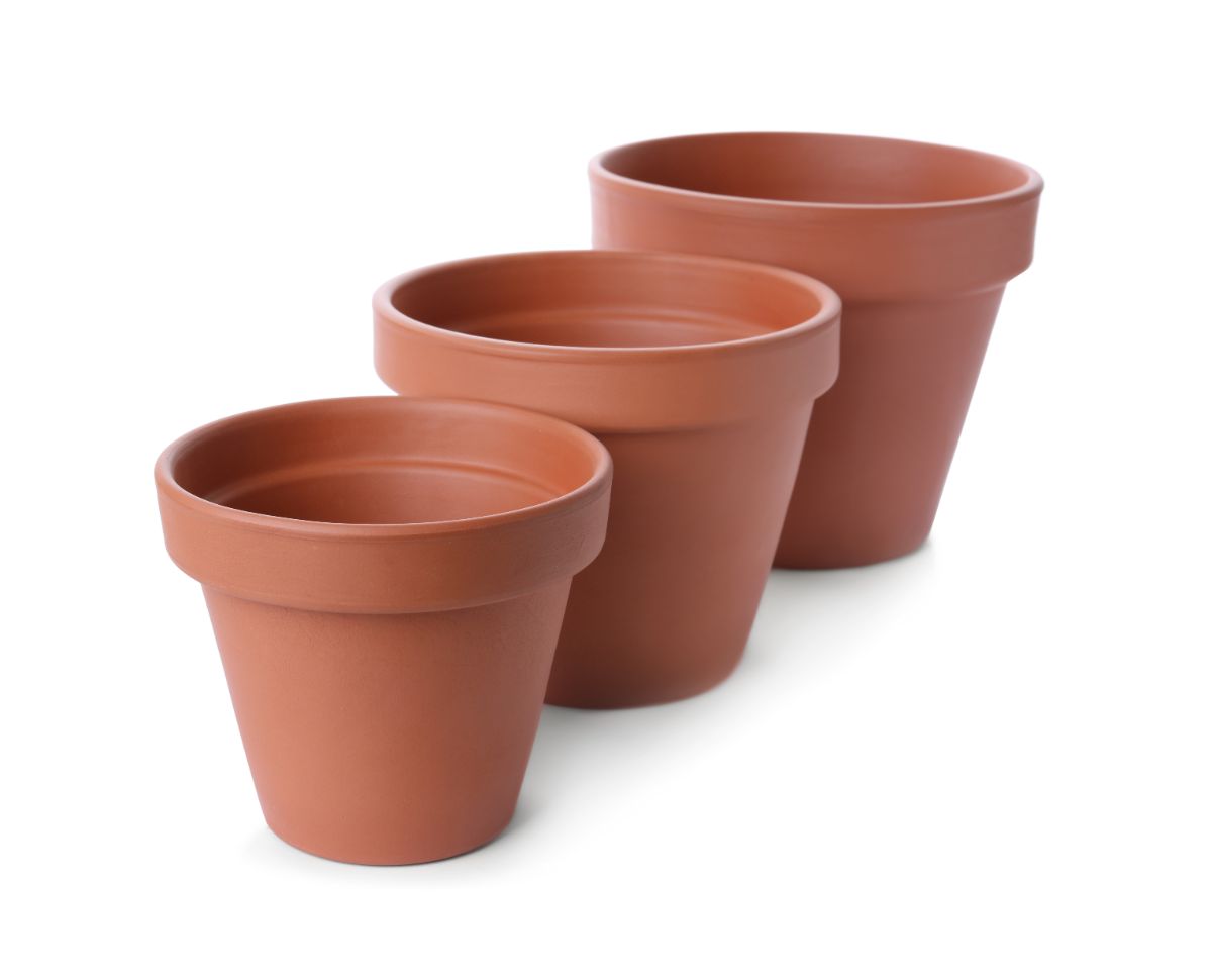 Terracotta plant pots in ascending sizes.