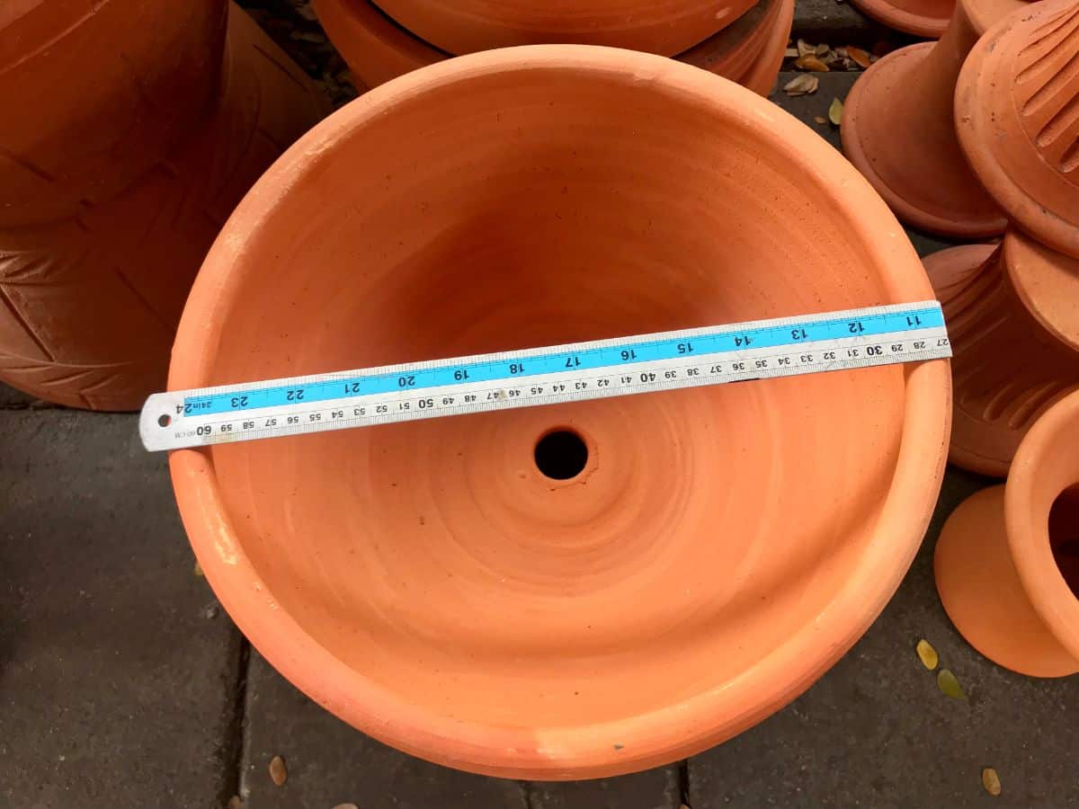A measuring ruler laid across the middle of a plant pot to find the size.
