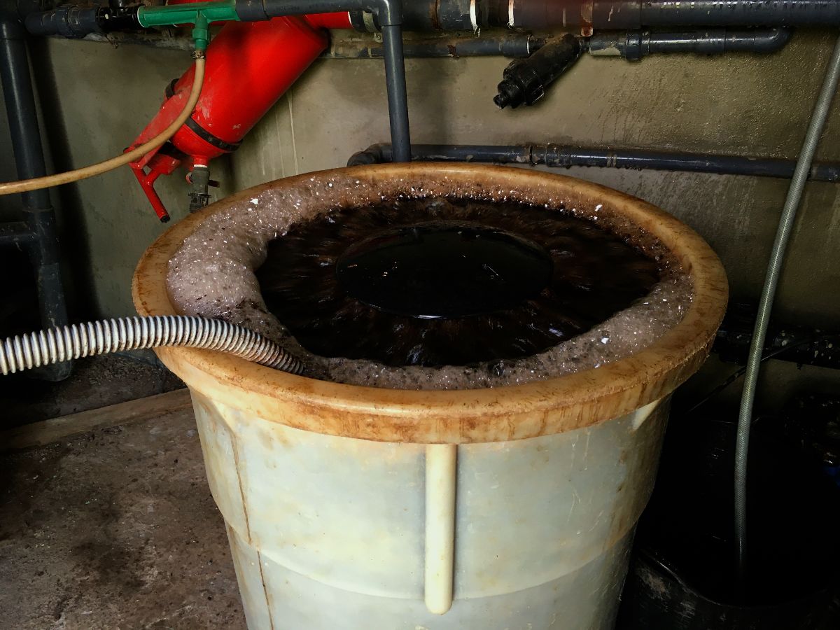 A hose adds air to aerated compost tea