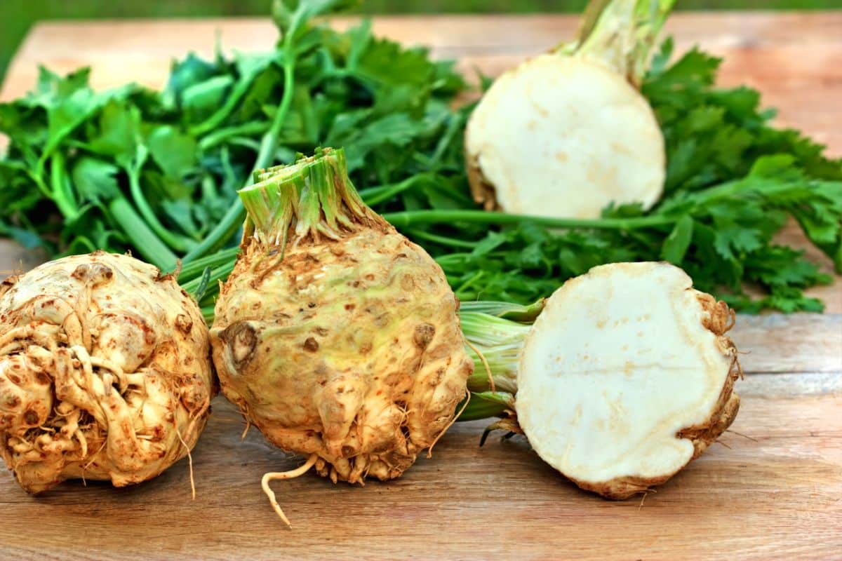 Mature celeriac and celery leaves laid out.