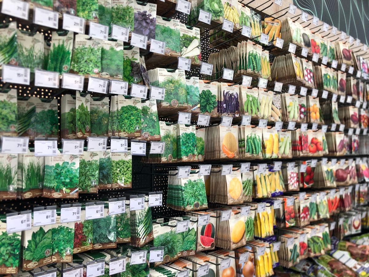 An aisle filled with seeds