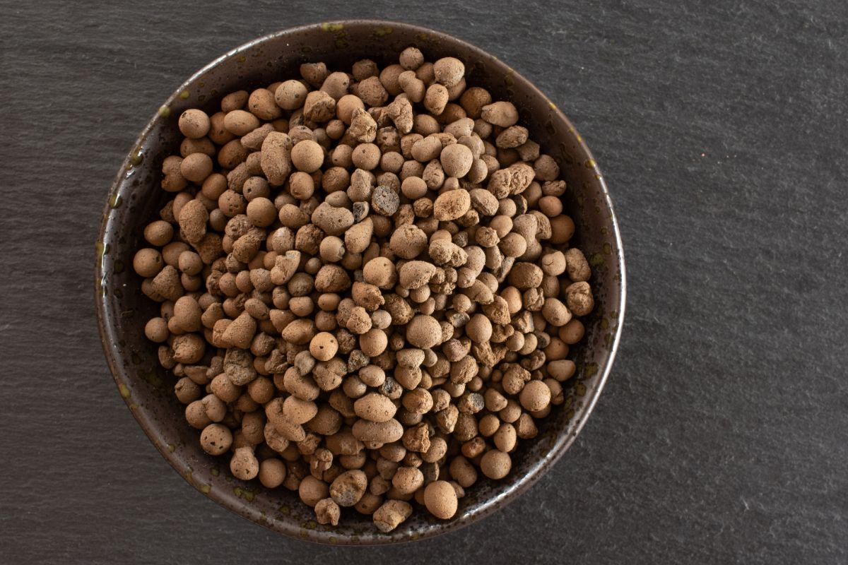 A container filled with LECA pebbles for planting