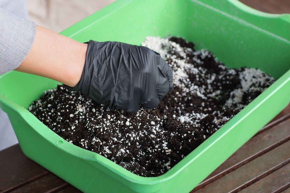 A gardener mixing up a tub of soil for soil blocking