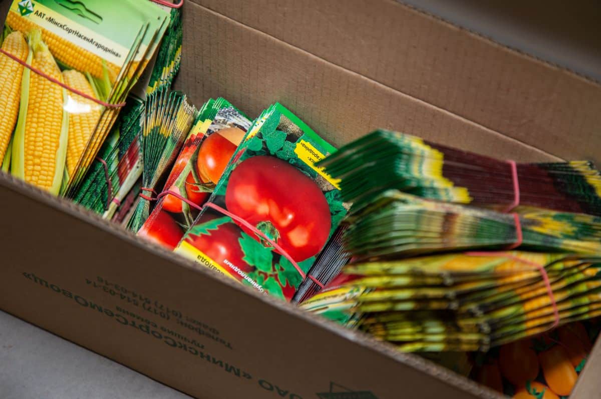 Seeds stored in a box in a cool, dry place.