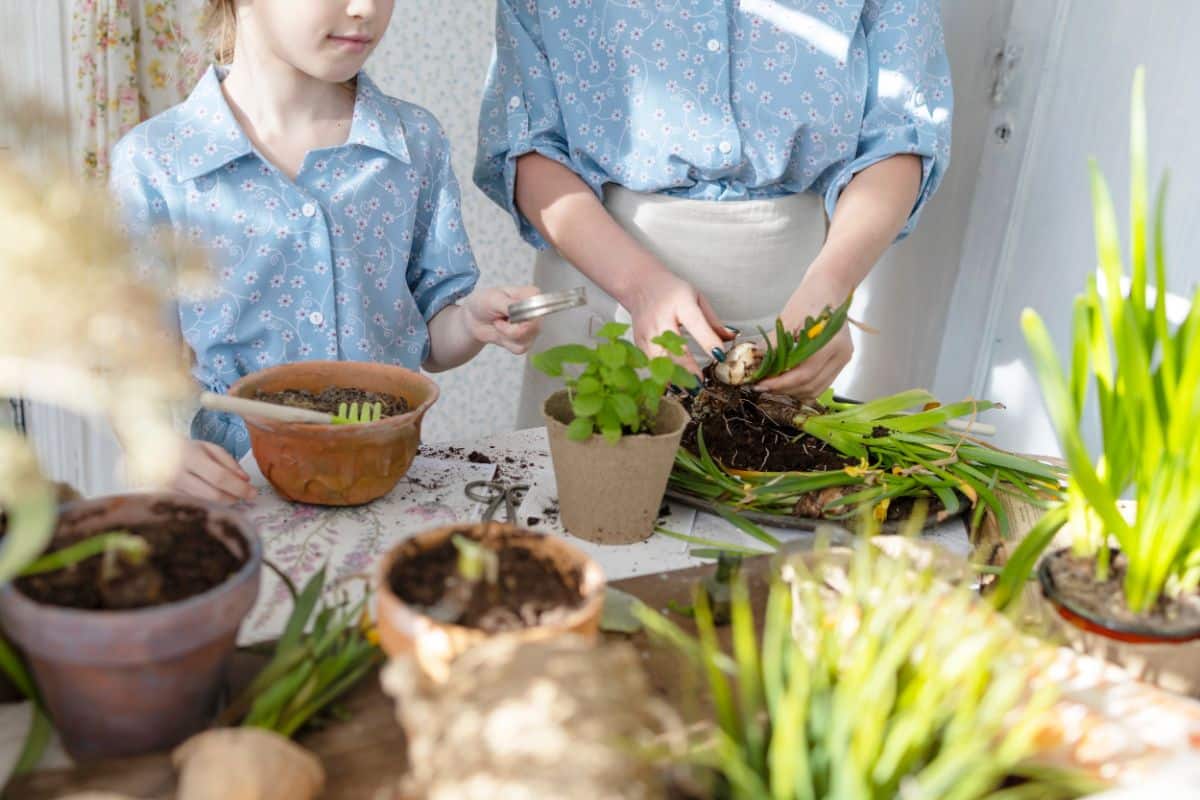 A mother and daughter learn and grow seeds together.