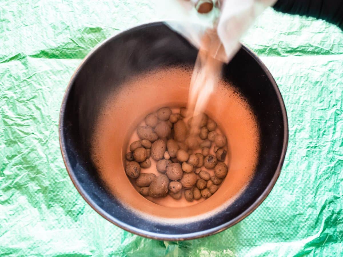 LECA pebbles being washed before use