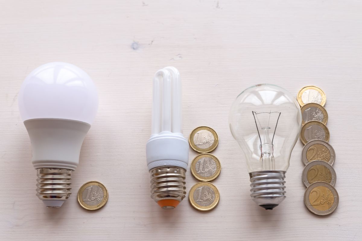 A lineup of light bulbs including incandescent lights, inadequate for growing plants