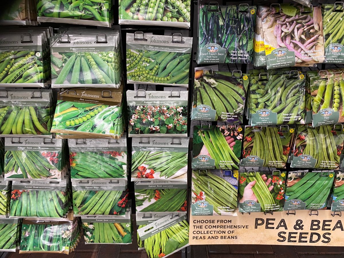 Seeds for sale at the end of a garden year.