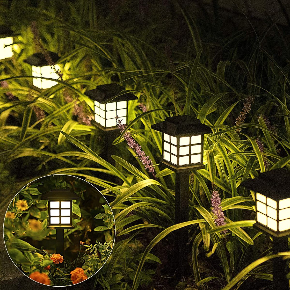 SOLPEX Solar Outdoor Lights