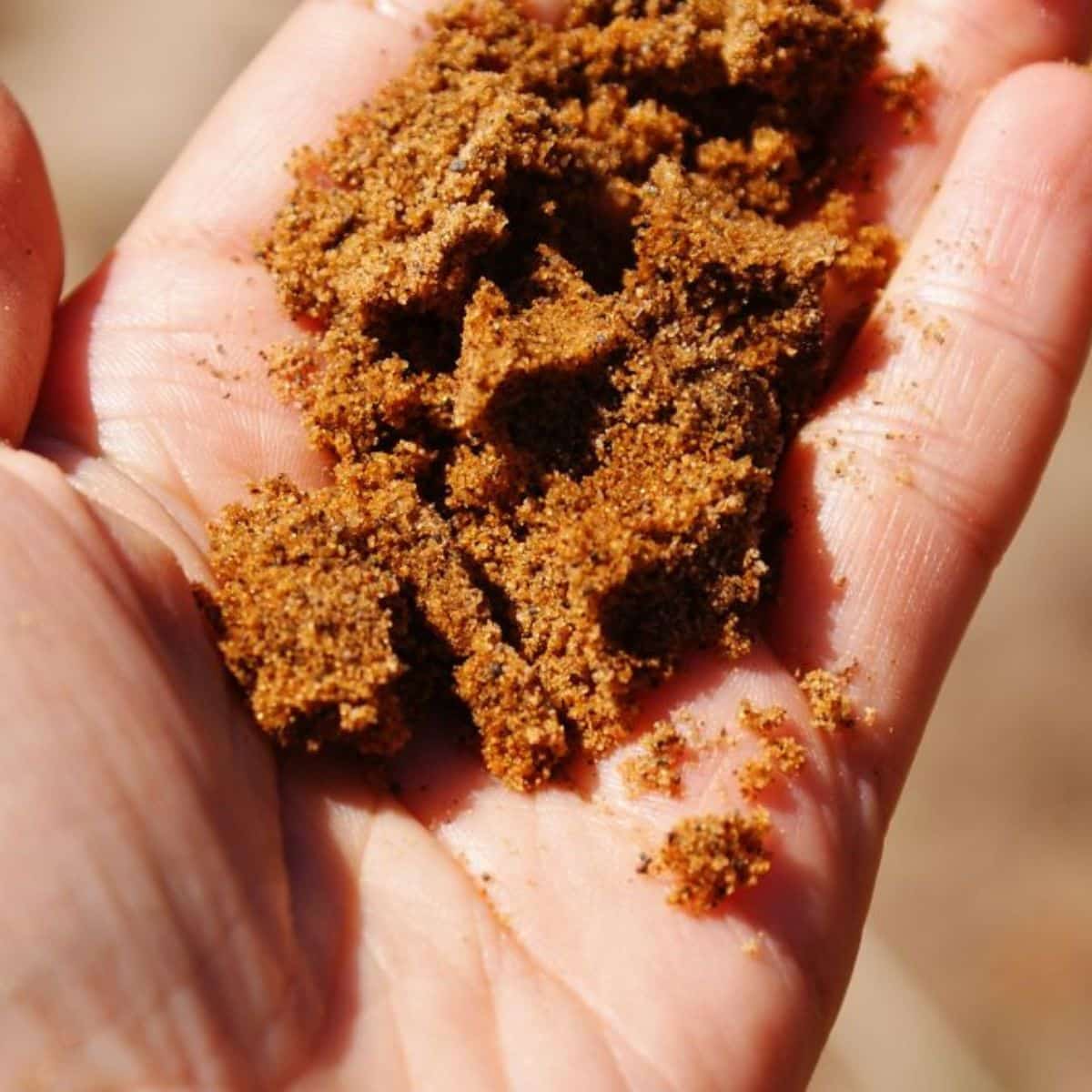 Sandy soil on a farmer's hand.