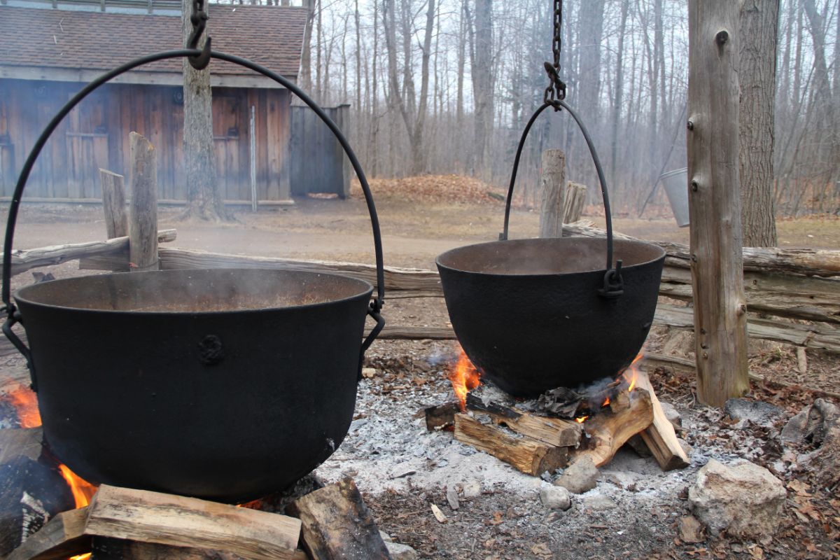 Two large iron pots hang above a fire boiling maple sap