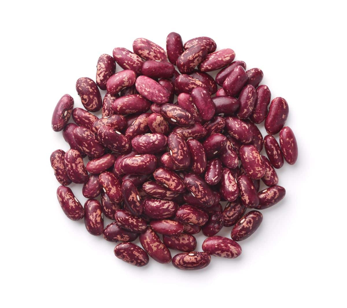 Red and brown King of the Early dried beans