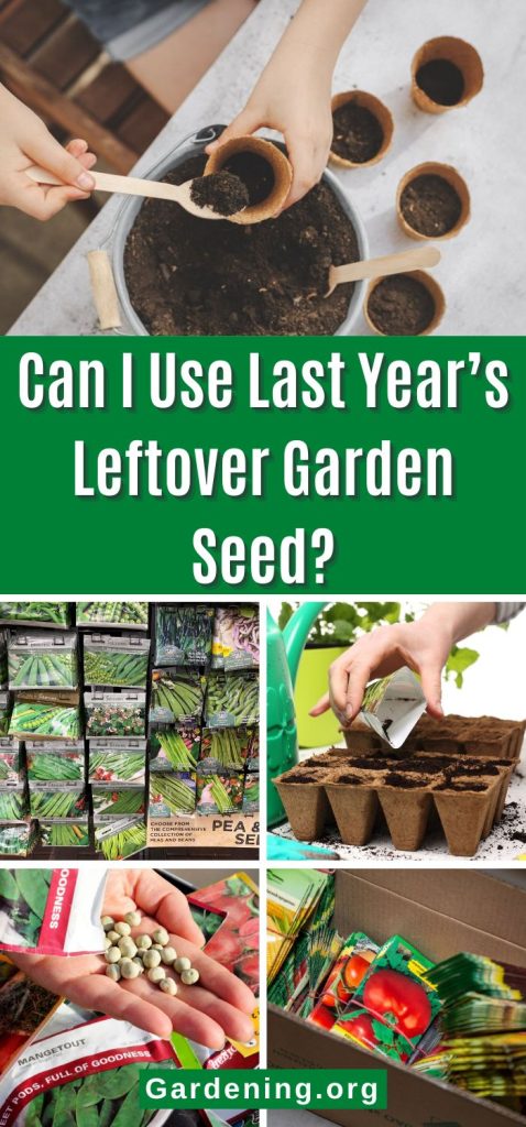 Can I Use Last Year’s Leftover Garden Seed? pinterest image.