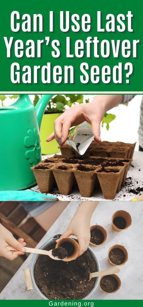 Can I Use Last Year’s Leftover Garden Seed? pinterest image.