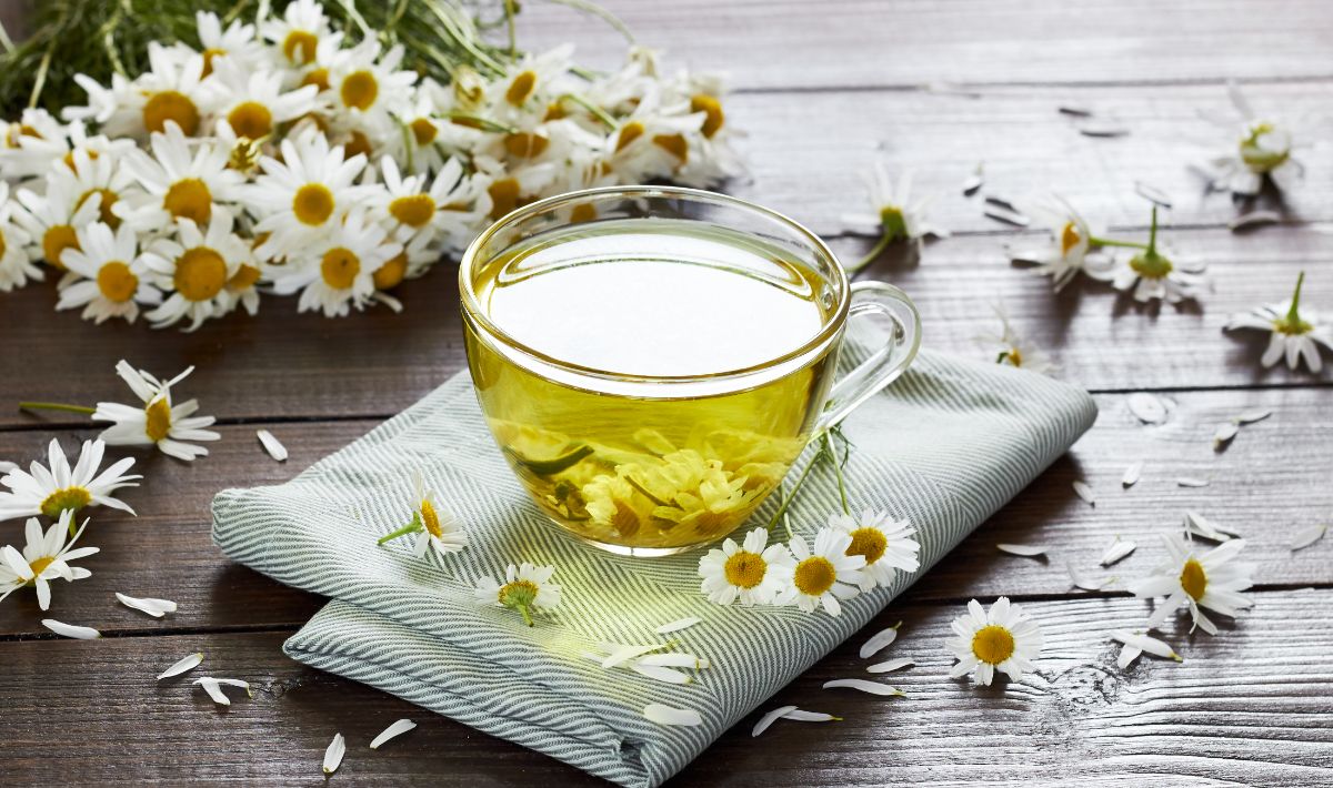 A cup of homemade herbal tea surrounded by chamomile flowers