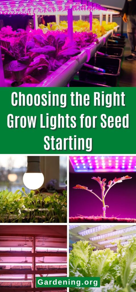 Choosing the Right Grow Lights for Seed Starting pinterest image.