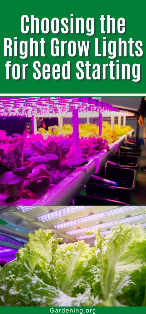 Choosing the Right Grow Lights for Seed Starting pinterest image.