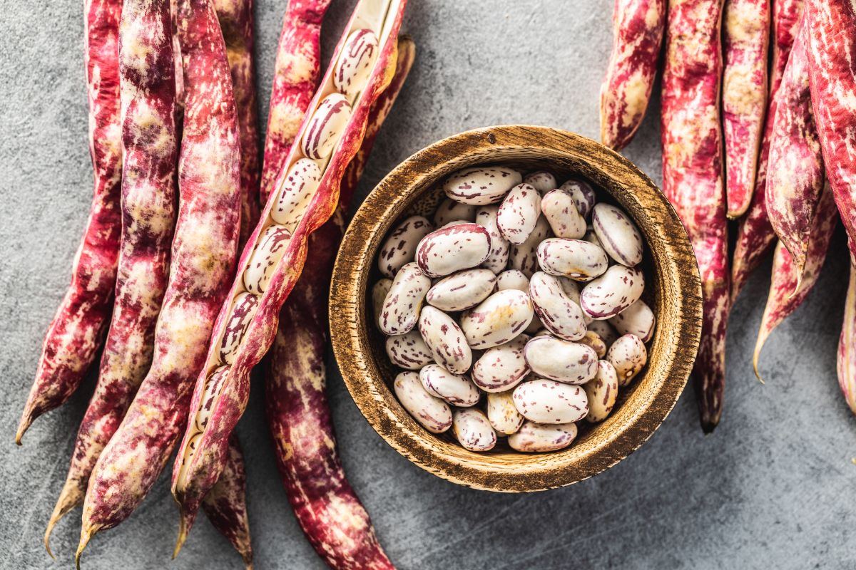 White and red speckled drying beans