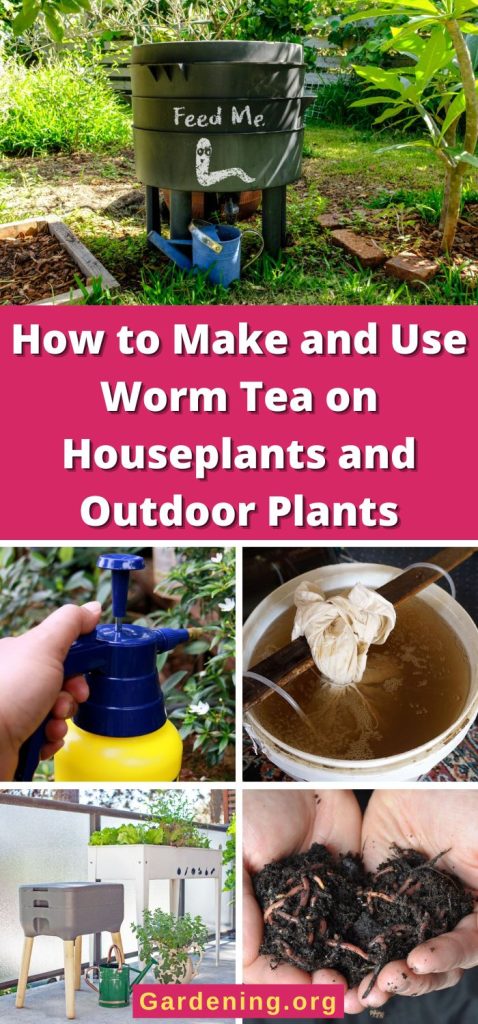 How to Make and Use Worm Tea on Houseplants and Outdoor Plants pinterest image.