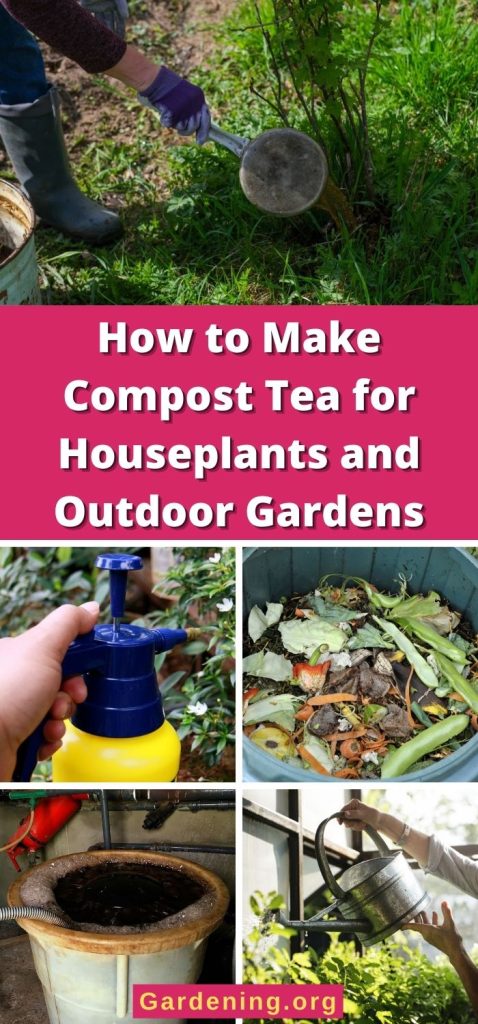 How to Make Compost Tea for Houseplants and Outdoor Gardens pinterest image.