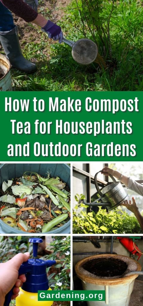 How to Make Compost Tea for Houseplants and Outdoor Gardens pinterest image.