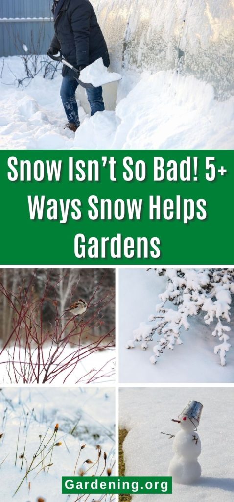 Snow Isn’t So Bad! 5+ Ways Snow Helps Gardens pinterest image.