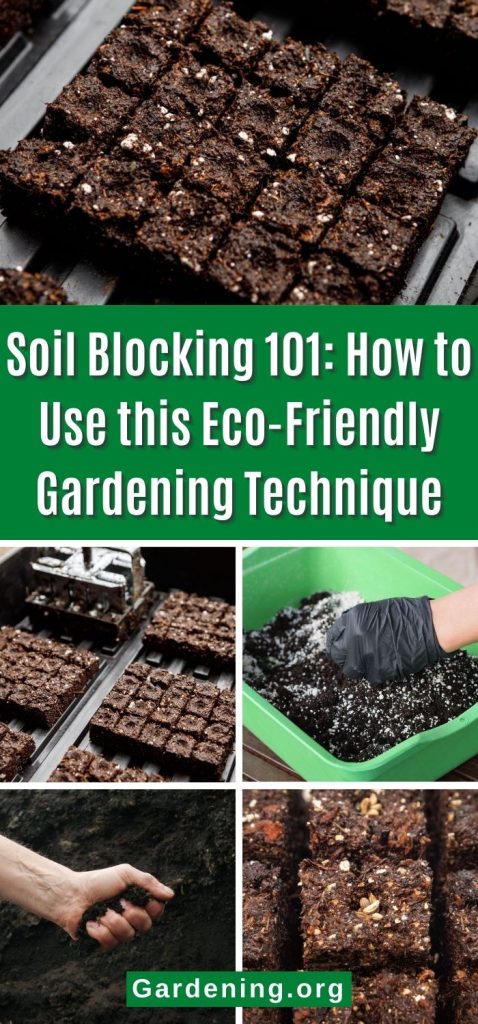 Soil Blocking 101: How to Use this Eco-Friendly Gardening Technique pinterest image.