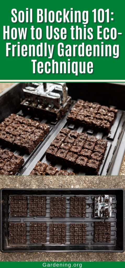 Soil Blocking 101: How to Use this Eco-Friendly Gardening Technique pinterest image.